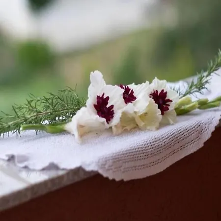 Apartman Ana - Marija